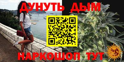 сатива Гатчина