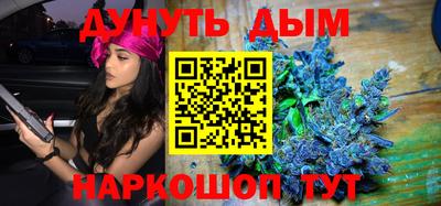 сатива Гатчина